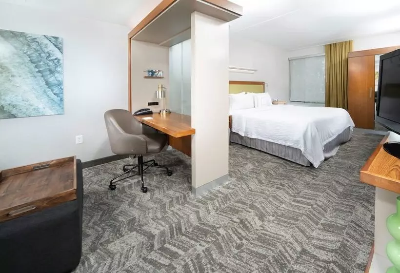 ホテル Springhill Suites By Marriott Philadelphia Valley Forge/king Of Prussia