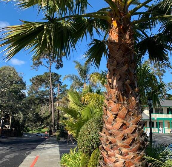 مُتل Monterey Pines Inn