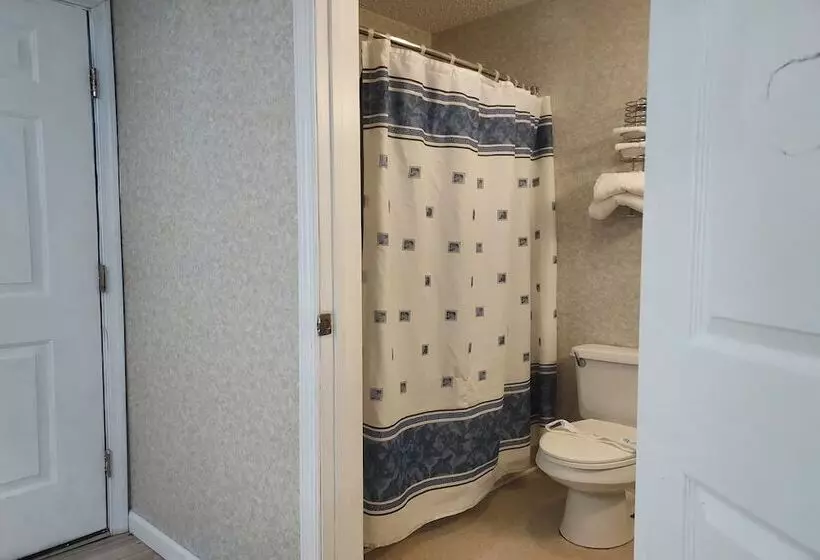 汽车旅馆  Studio Inn And Suites