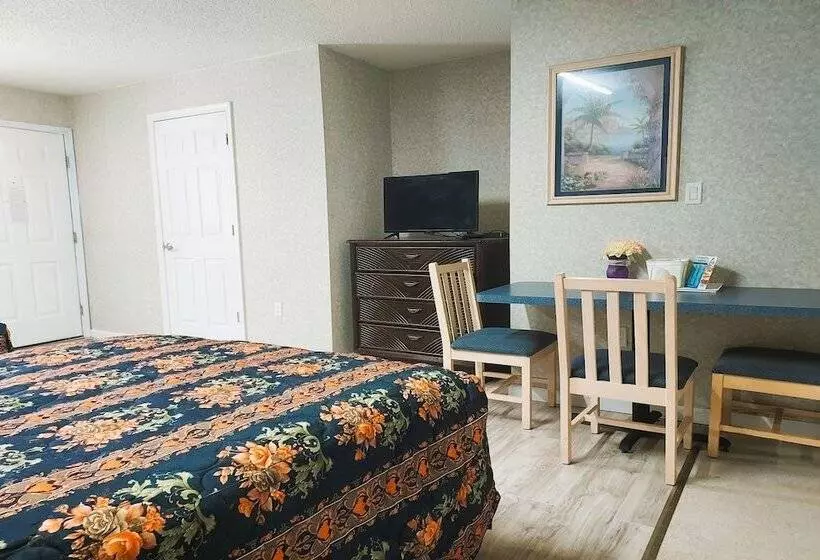 汽车旅馆  Studio Inn And Suites