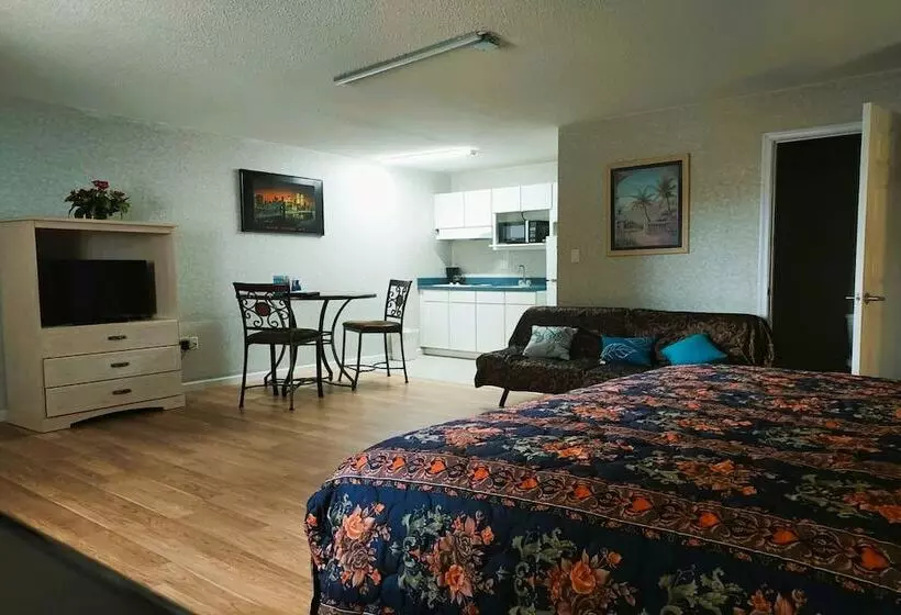 汽车旅馆  Studio Inn And Suites