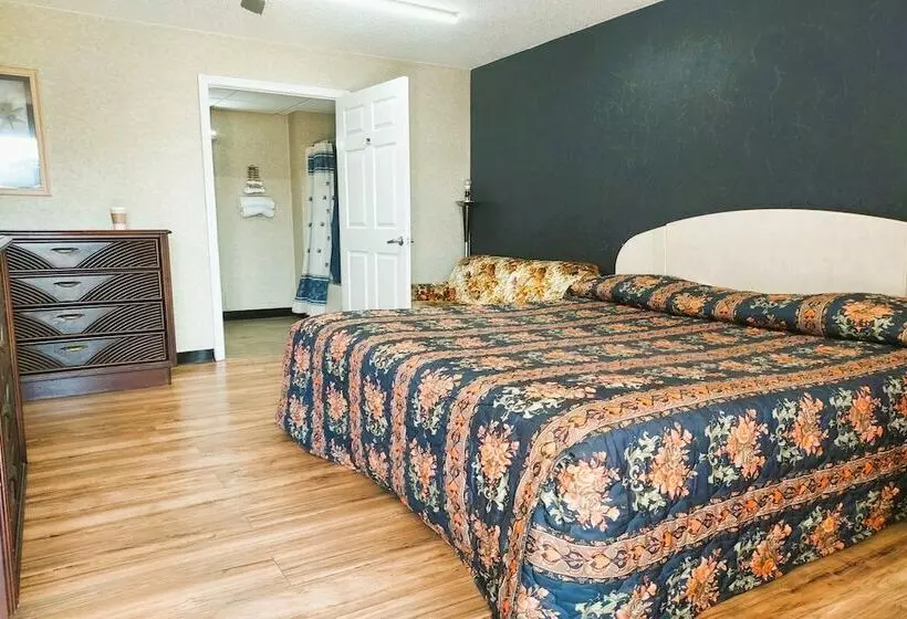 汽车旅馆  Studio Inn And Suites