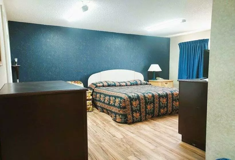 汽车旅馆  Studio Inn And Suites