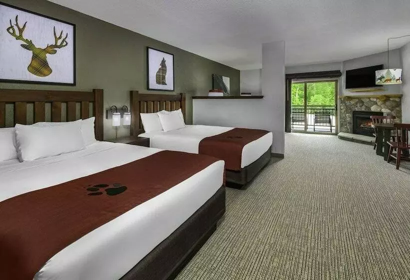 Lomakeskus Great Wolf Lodge Williamsburg