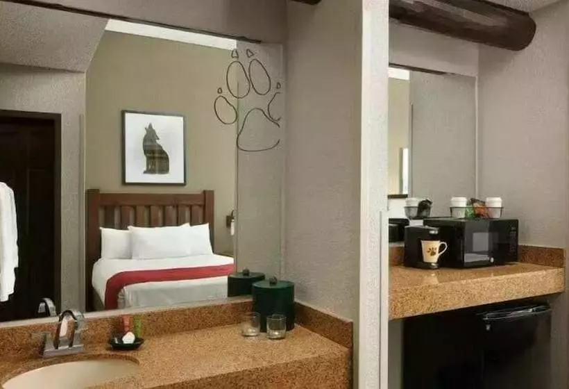 Lomakeskus Great Wolf Lodge Williamsburg