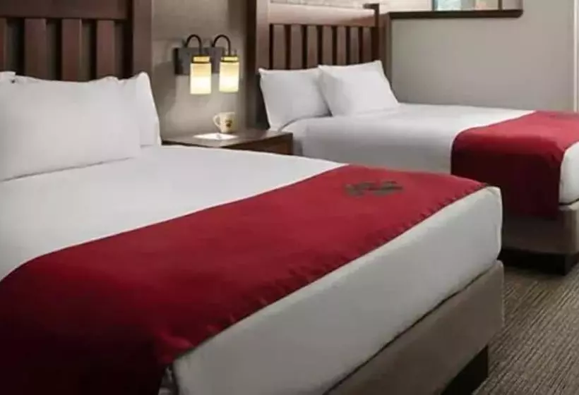 Lomakeskus Great Wolf Lodge Williamsburg