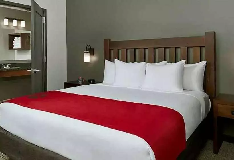 Lomakeskus Great Wolf Lodge Williamsburg