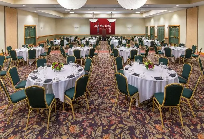 Lomakeskus Great Wolf Lodge Williamsburg