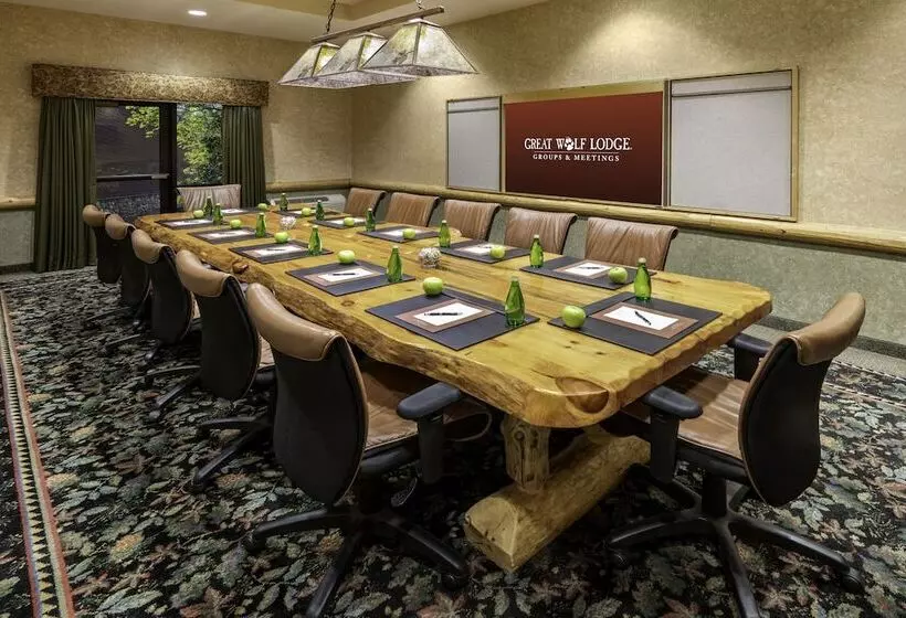 Lomakeskus Great Wolf Lodge Williamsburg