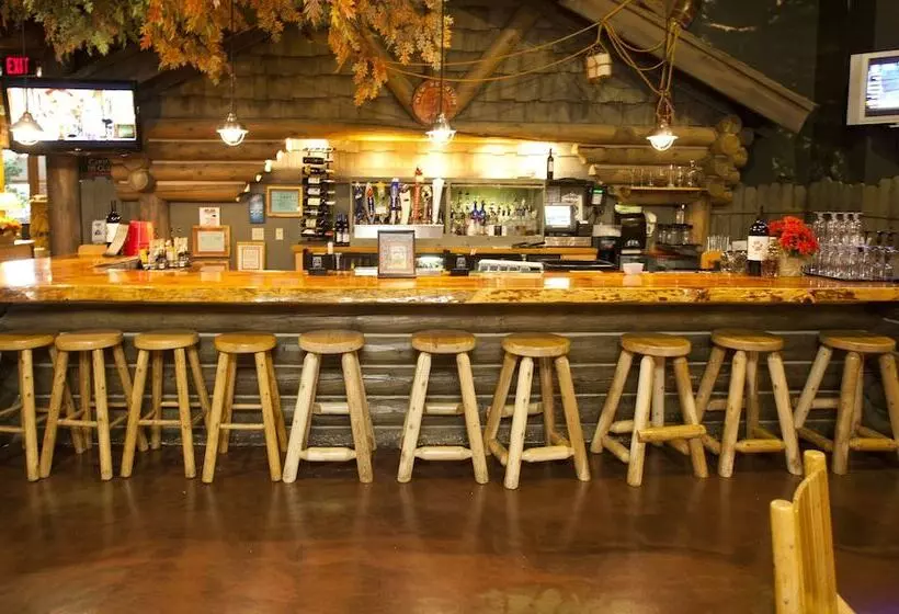 Lomakeskus Great Wolf Lodge Williamsburg