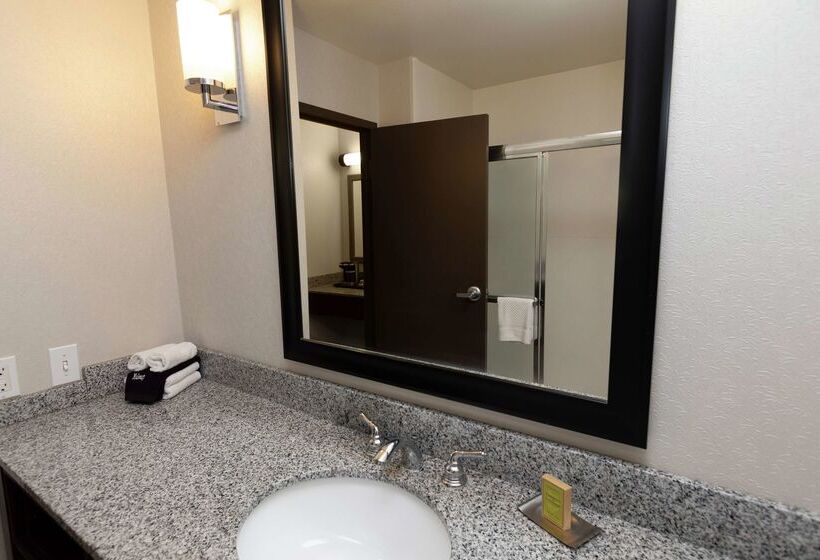 فندق President Abraham Lincoln Springfield   Doubletree By Hilton