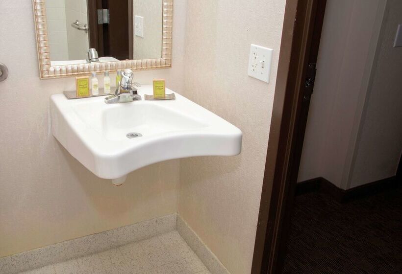 فندق President Abraham Lincoln Springfield   Doubletree By Hilton