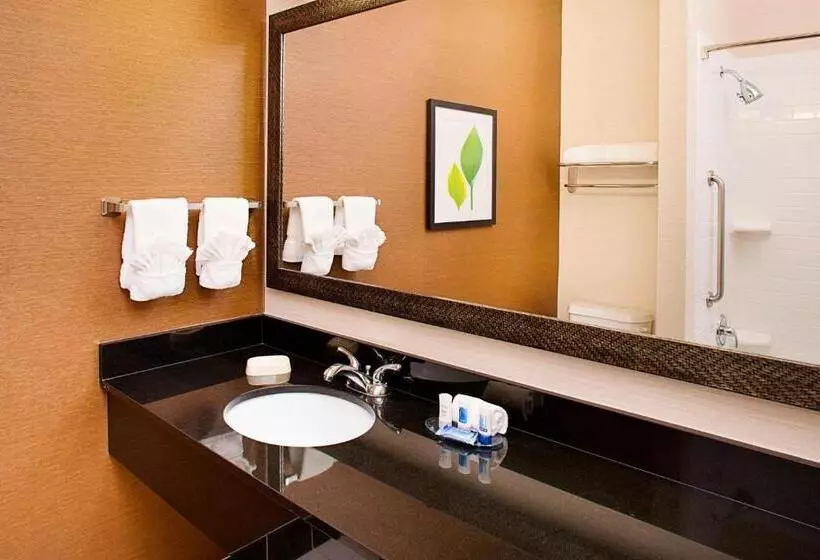 ホテル Fairfield Inn & Suites By Marriott San Antonio Seaworld / Westover Hills