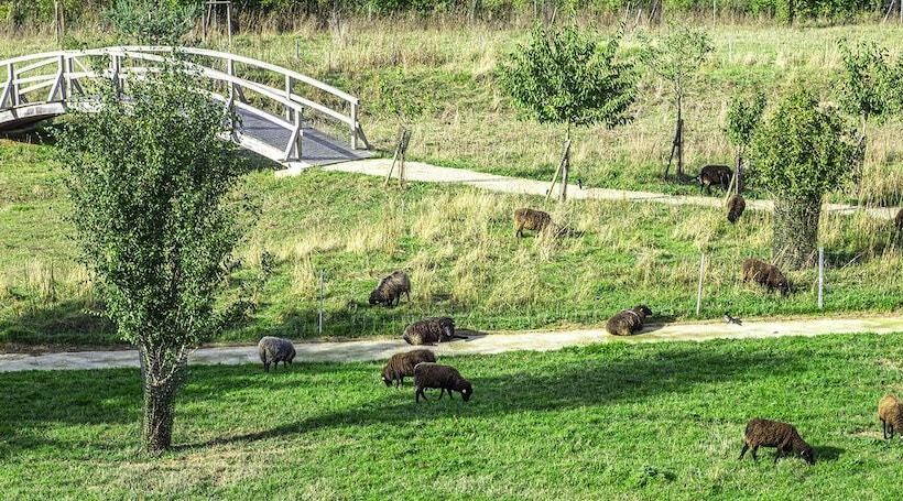 ホテル Le Green Des Impressionnistes