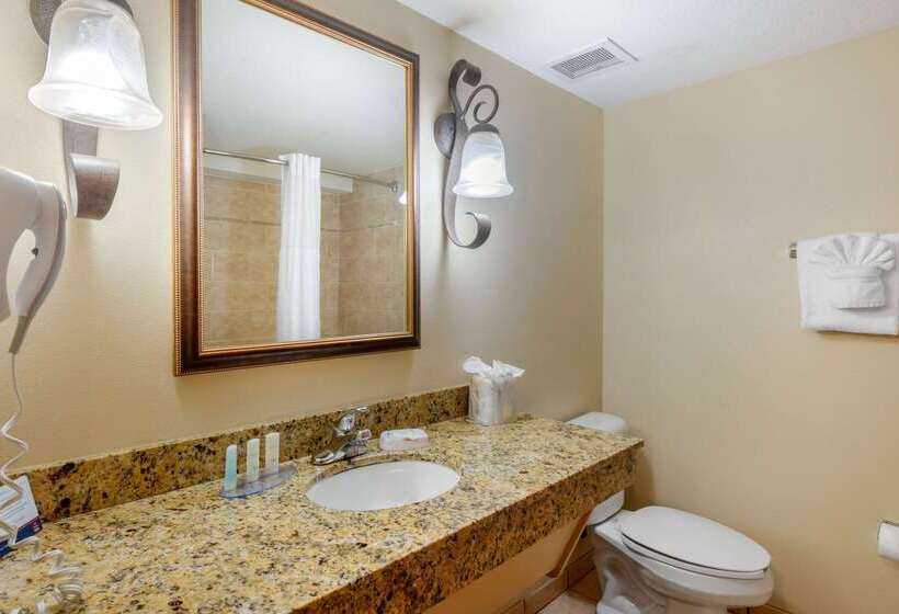 Отель Clarion Inn Ormond Beach At Destination Daytona