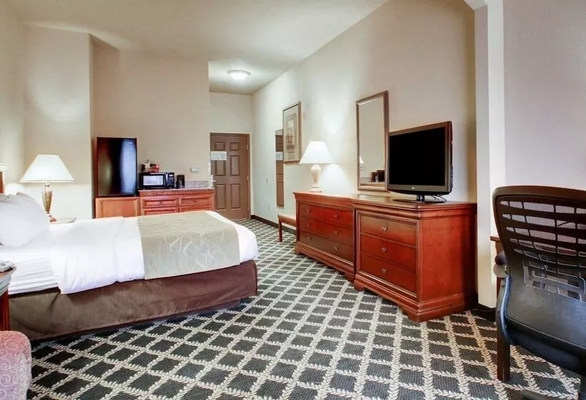 酒店 Clarion Suites