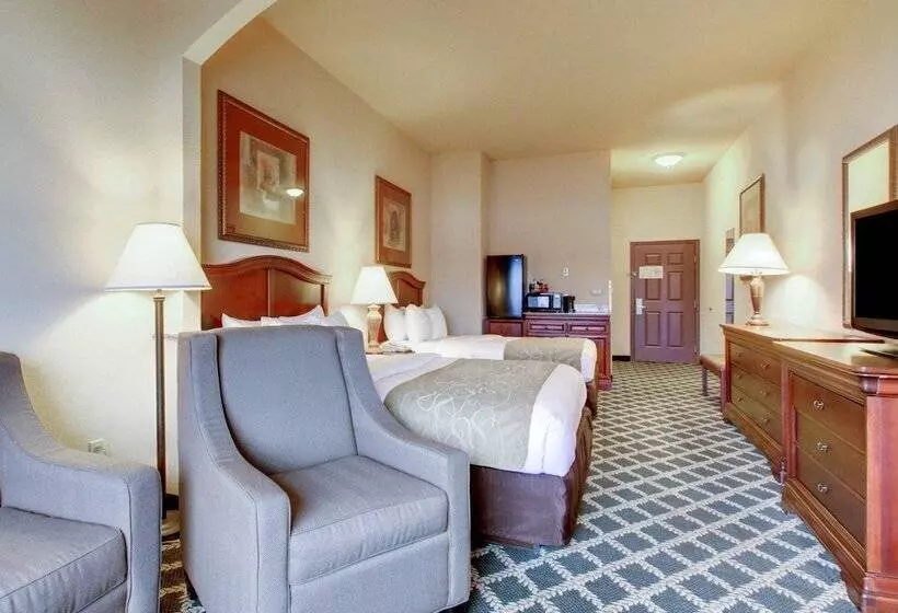 酒店 Clarion Suites