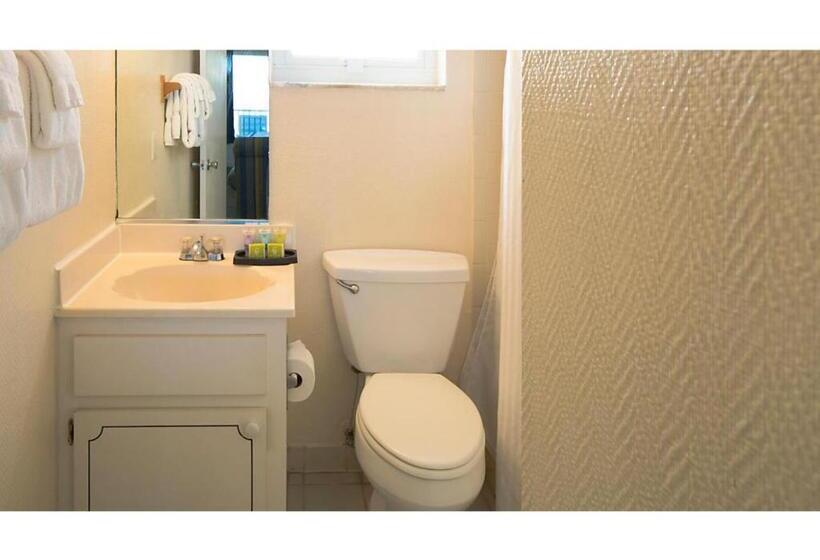 ホテル Dolphin Beach Club