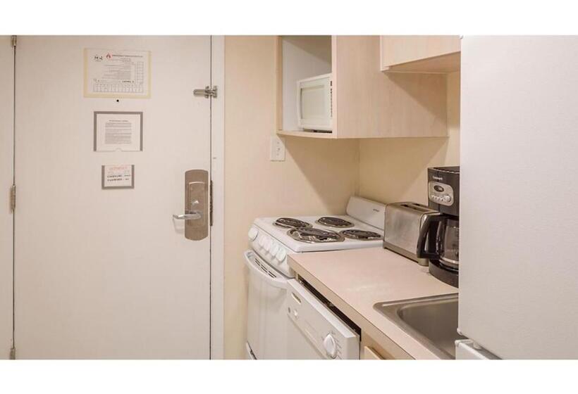 ホテル Dolphin Beach Club