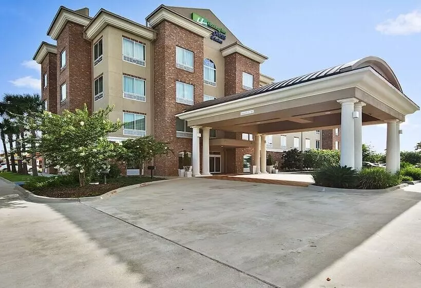 酒店 Holiday Inn Express & Suites Gonzales By Ihg