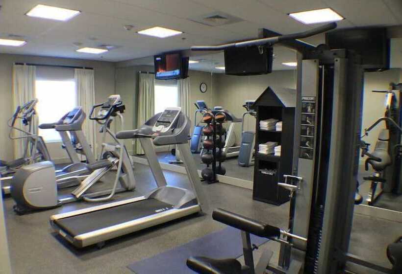 فندق Holiday Inn Express & Suites Gonzales By Ihg