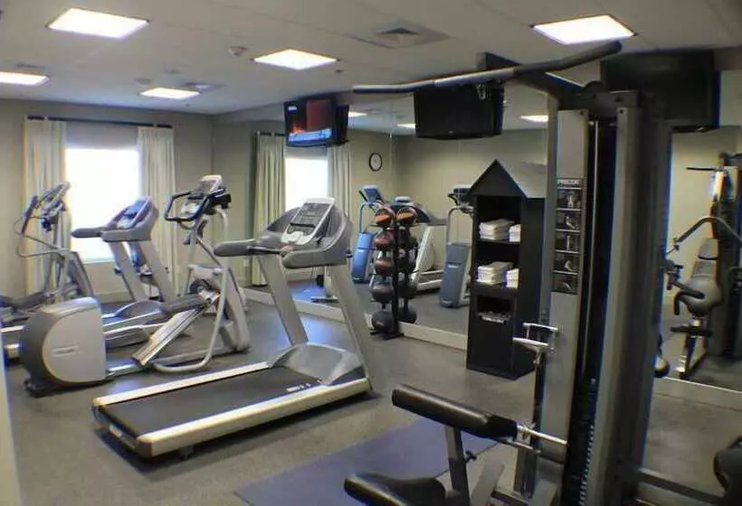 酒店 Holiday Inn Express & Suites Gonzales By Ihg