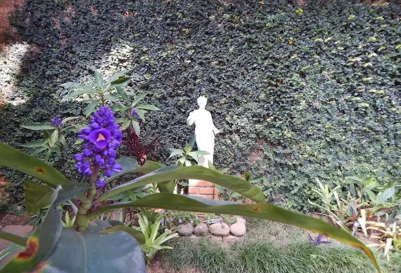 호텔 Pousada Quinta Dos Pássaros