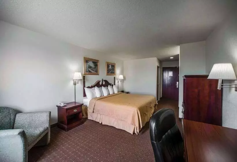 酒店 Quality Inn