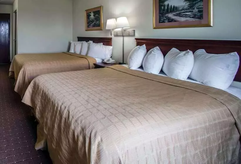 酒店 Quality Inn