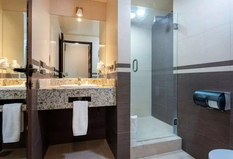 هتل Sleep Inn Puebla Centro Historico