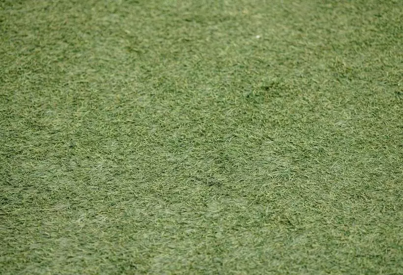 Apartamentos Debambú