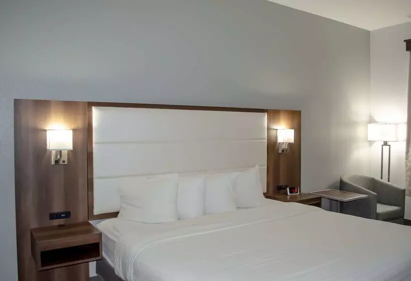 Hotel Best Western Plus First Coast Inn And Suites