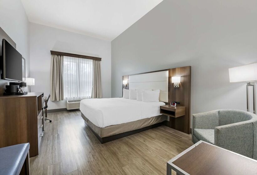 فندق Best Western Plus First Coast Inn And Suites