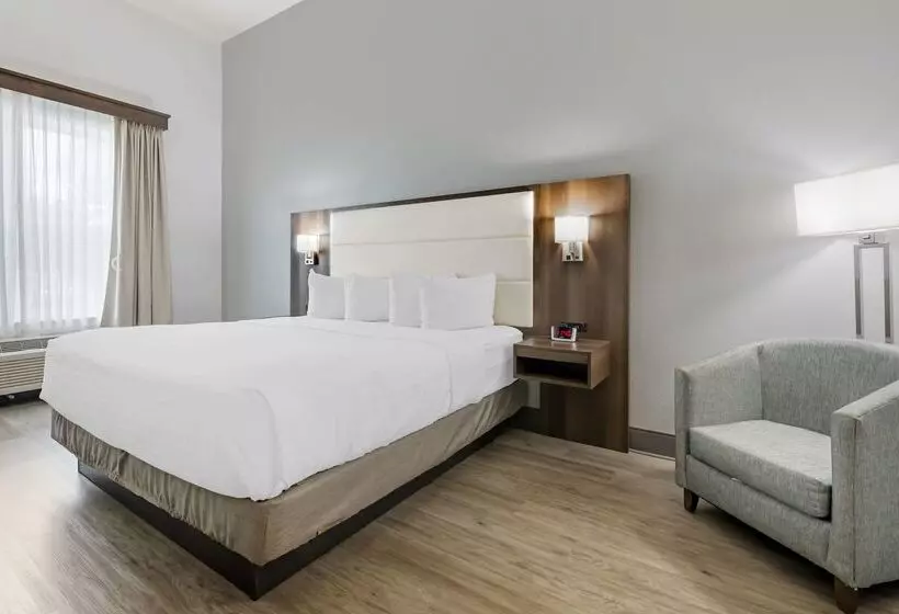 Hotel Best Western Plus First Coast Inn And Suites