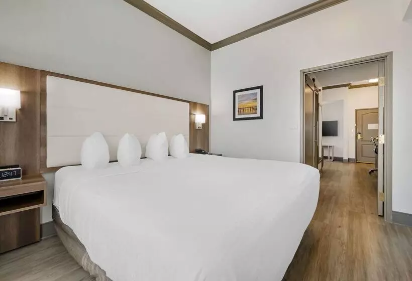 Hotel Best Western Plus First Coast Inn And Suites