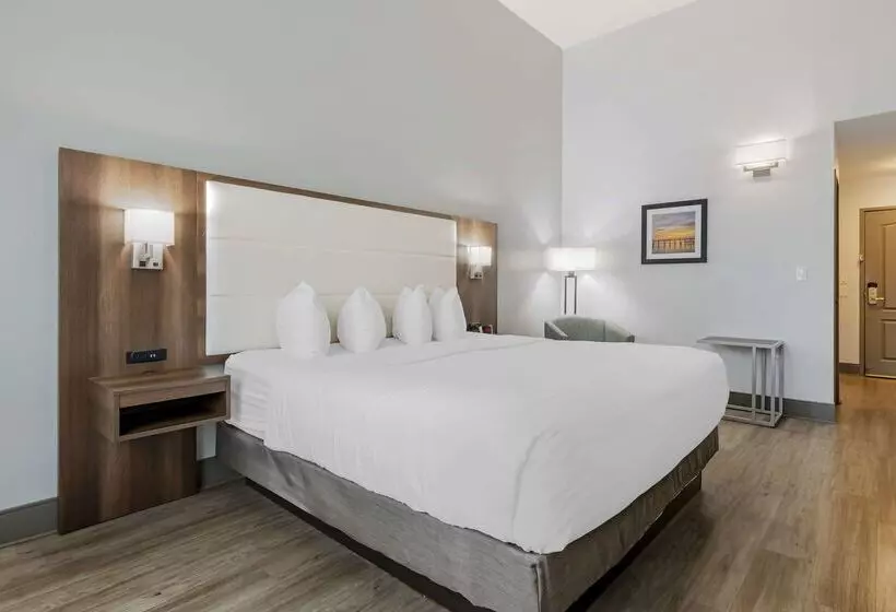 Hotel Best Western Plus First Coast Inn And Suites