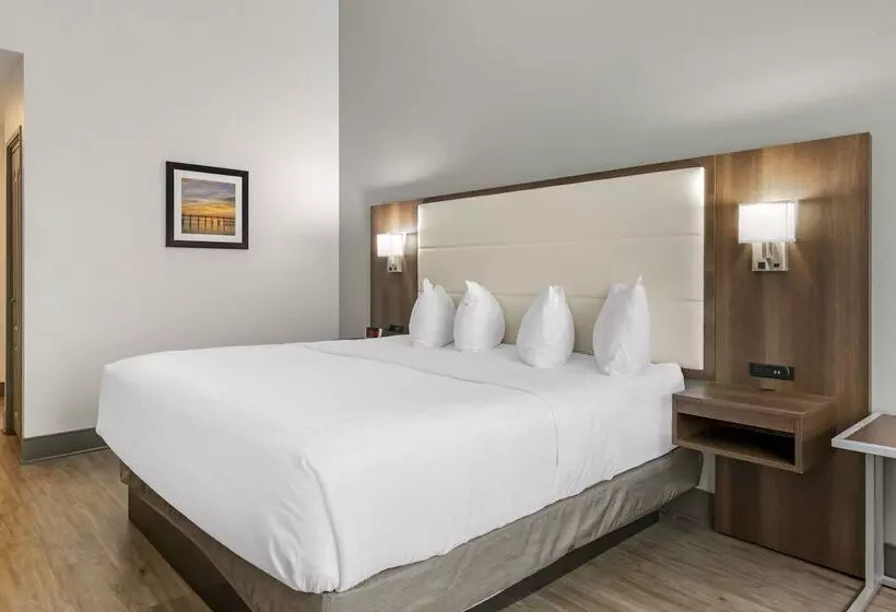 Hotel Best Western Plus First Coast Inn And Suites