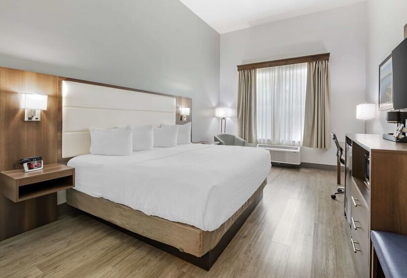 فندق Best Western Plus First Coast Inn And Suites