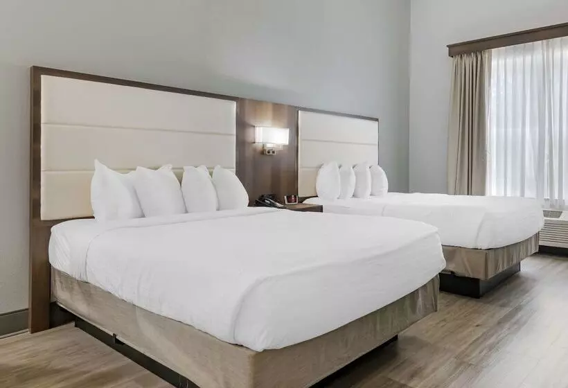 Hotel Best Western Plus First Coast Inn And Suites