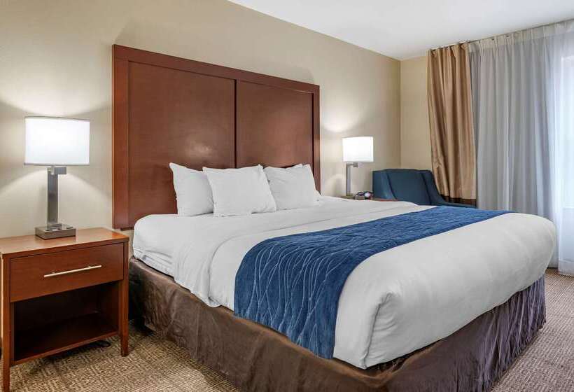 Отель Comfort Inn & Suites Northern Kentucky