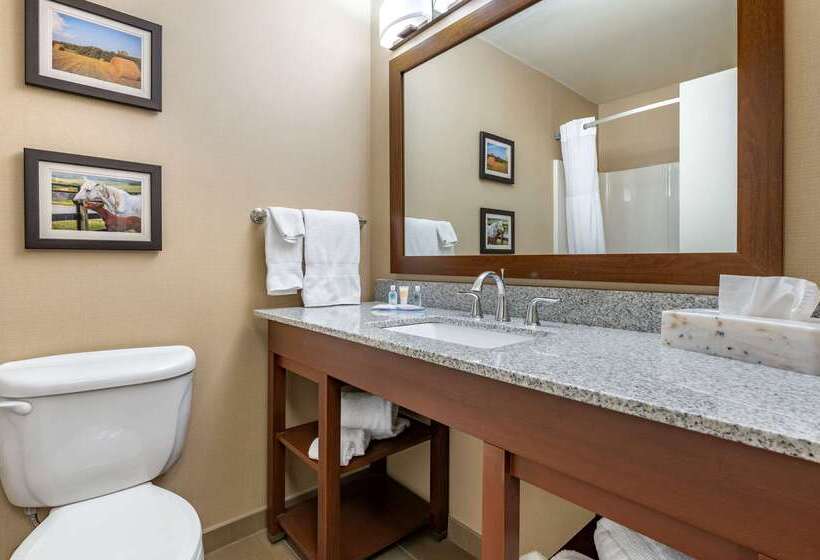 Отель Comfort Inn & Suites Northern Kentucky