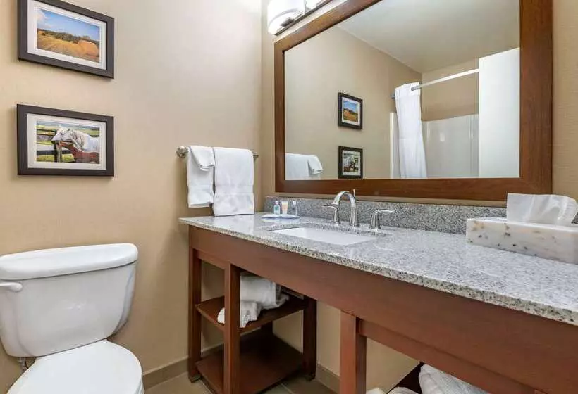 هتل Comfort Inn & Suites Northern Kentucky