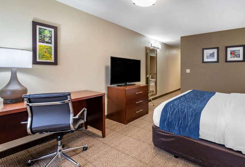 Отель Comfort Inn & Suites Northern Kentucky