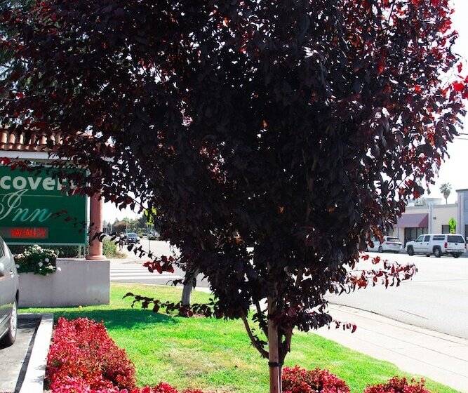 酒店 Discovery Inn