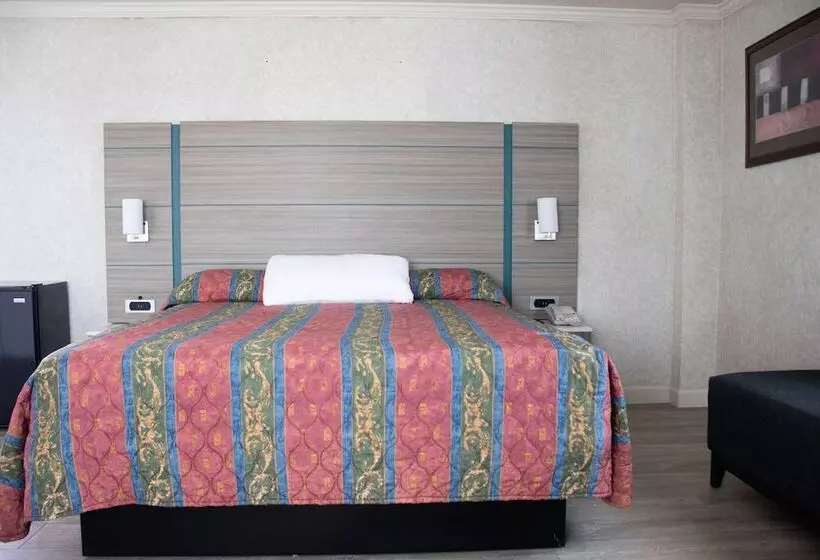 호텔 Discovery Inn