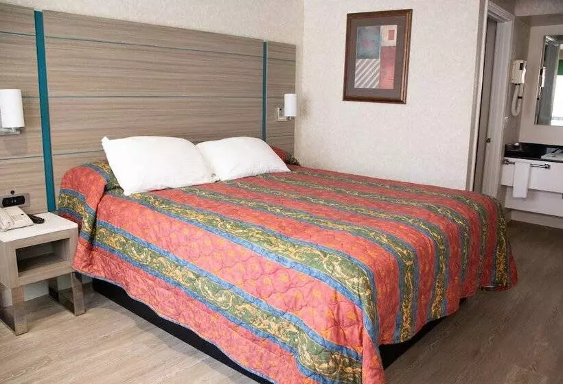 호텔 Discovery Inn