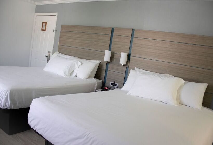 酒店 Discovery Inn