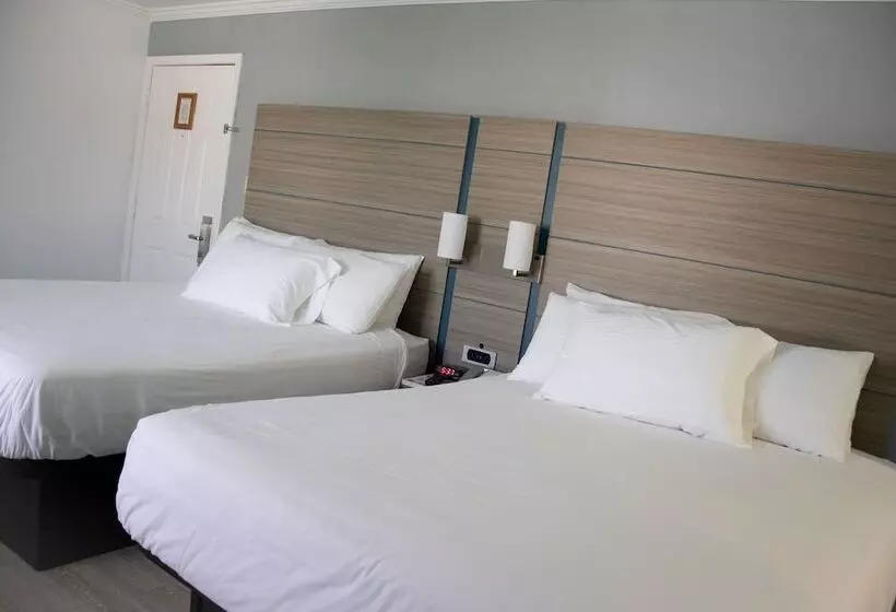 호텔 Discovery Inn