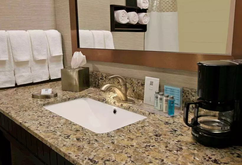 Otel Hampton Inn & Suites Winnie