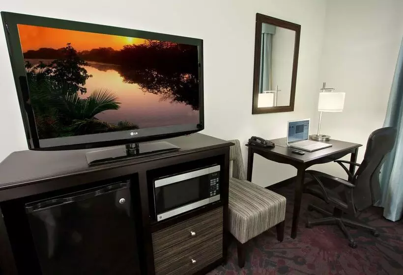 Otel Hampton Inn & Suites Winnie